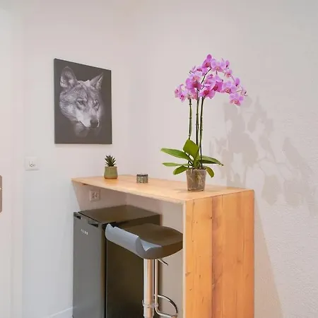 Διαμέρισμα Studio Renove, Confortable Et Central